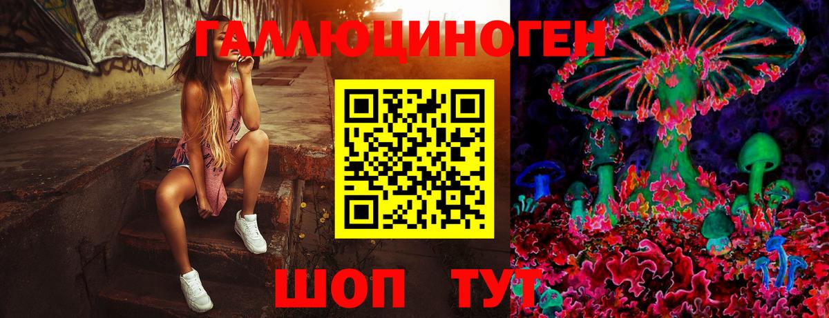Мичуринск  Галлюциногенные грибы мухоморы  Вход с VPN 